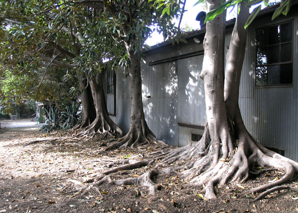 Rubel Castle Roots. See the Living Things music video "Bombs Below."