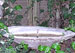 The bird bath at Rubel Pharms.